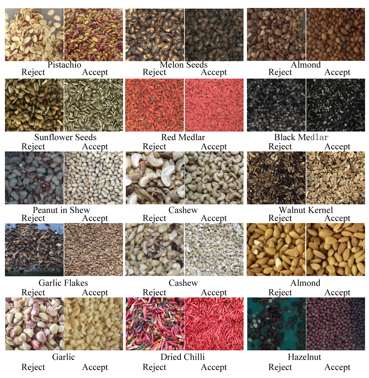 Nuts Color Sorter Sorting Results