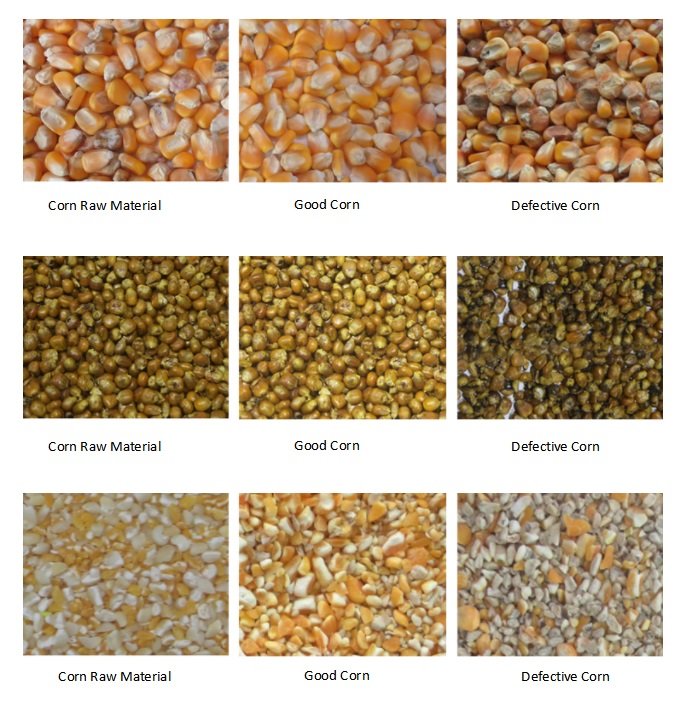clasificador de maíz por color