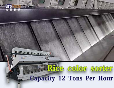 clasificador de color de banda y clasificador de color de tolva en la exposición, clasificador de color de arroz con capacidad de 12 toneladas por hora
