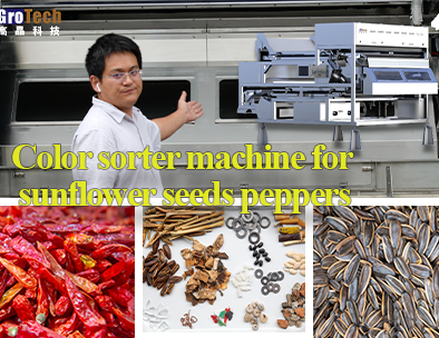 Máquina clasificadora de color para semillas de girasol, mediante Deep Learning, reconocimiento AI
        