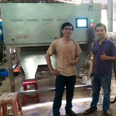 máquina de clasificación de color del anacardo en vietnam